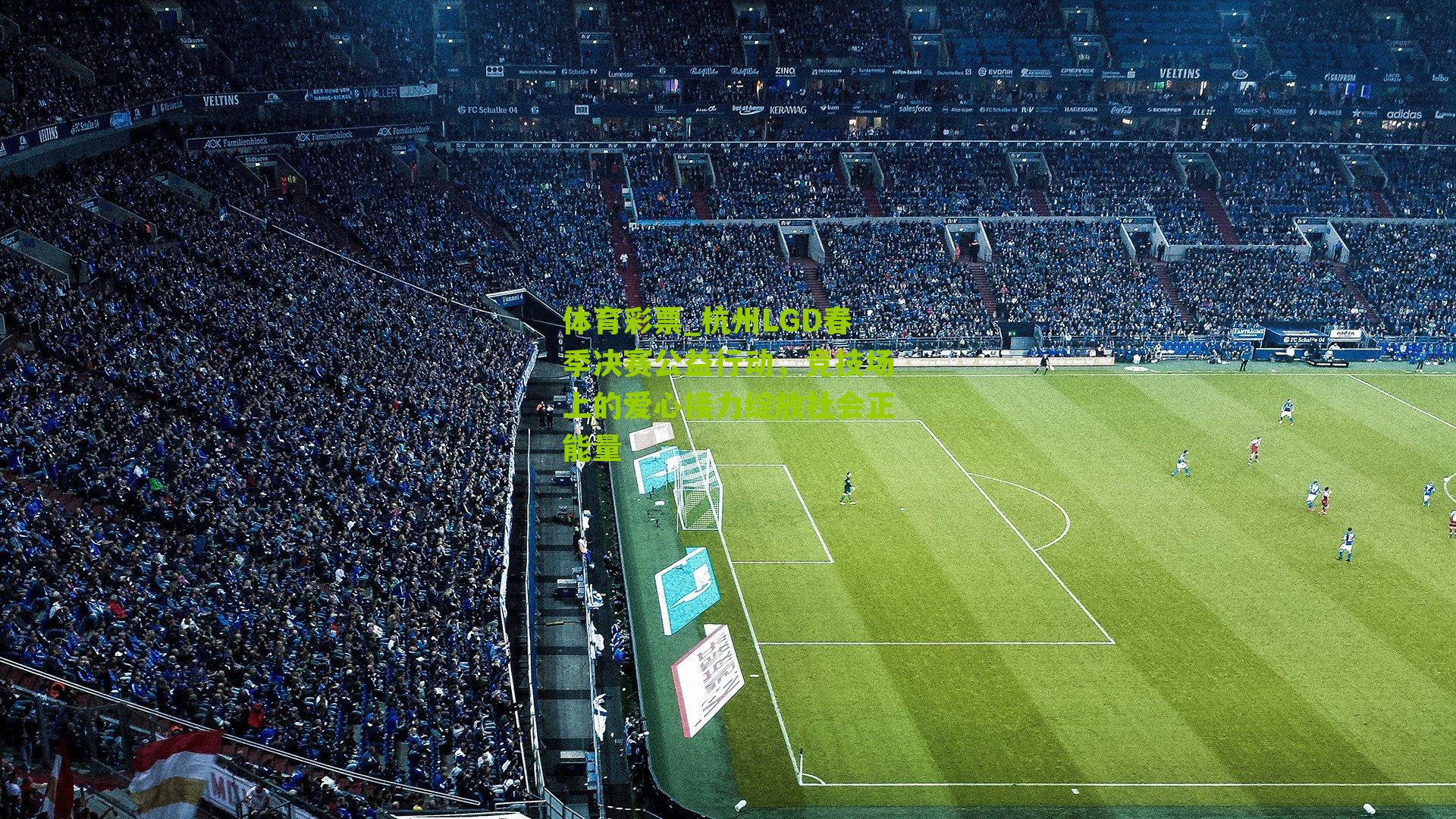 杭州LGD春季决赛公益行动，竞技场上的爱心接力绽放社会正能量