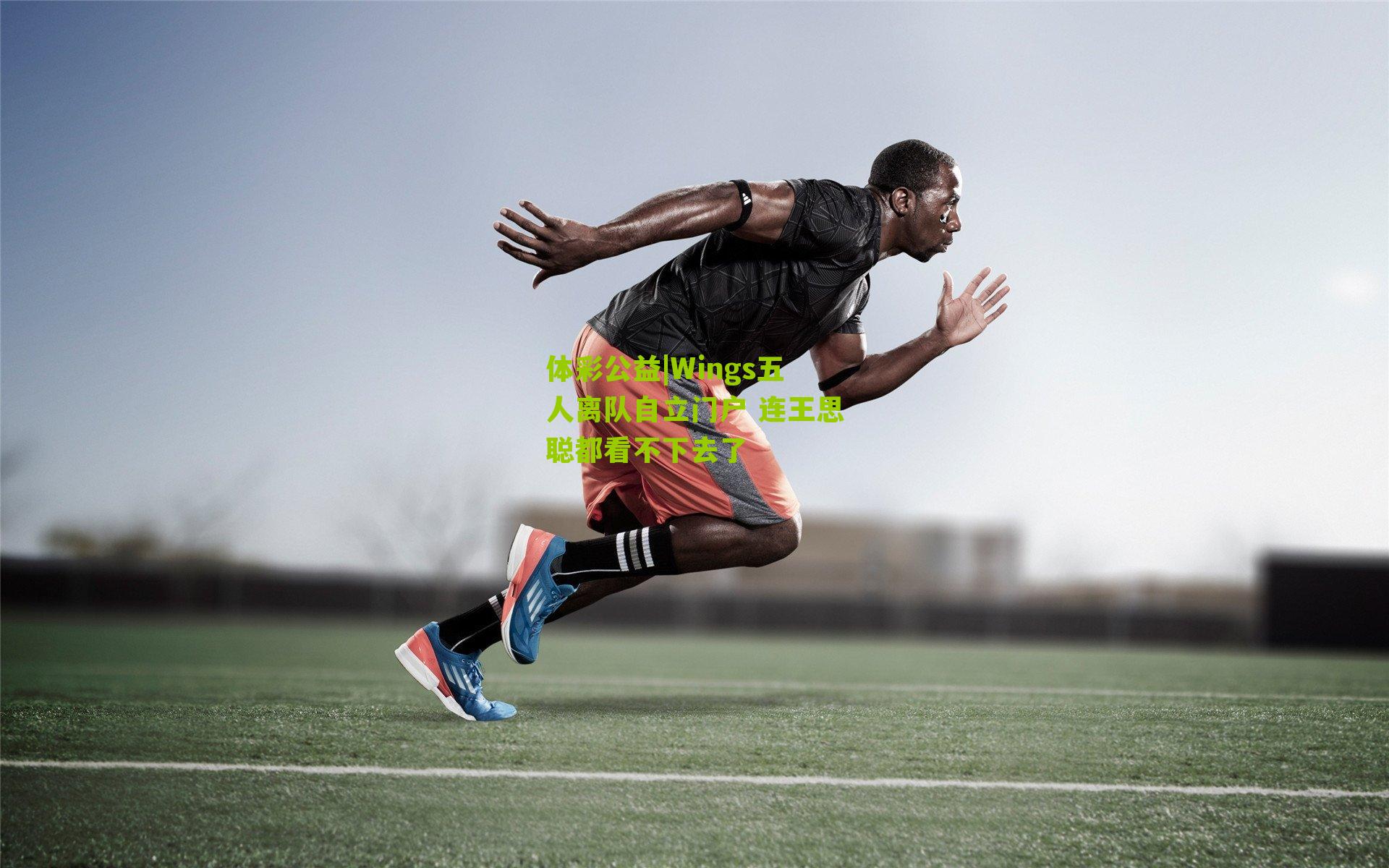 Wings五人离队自立门户 连王思聪都看不下去了