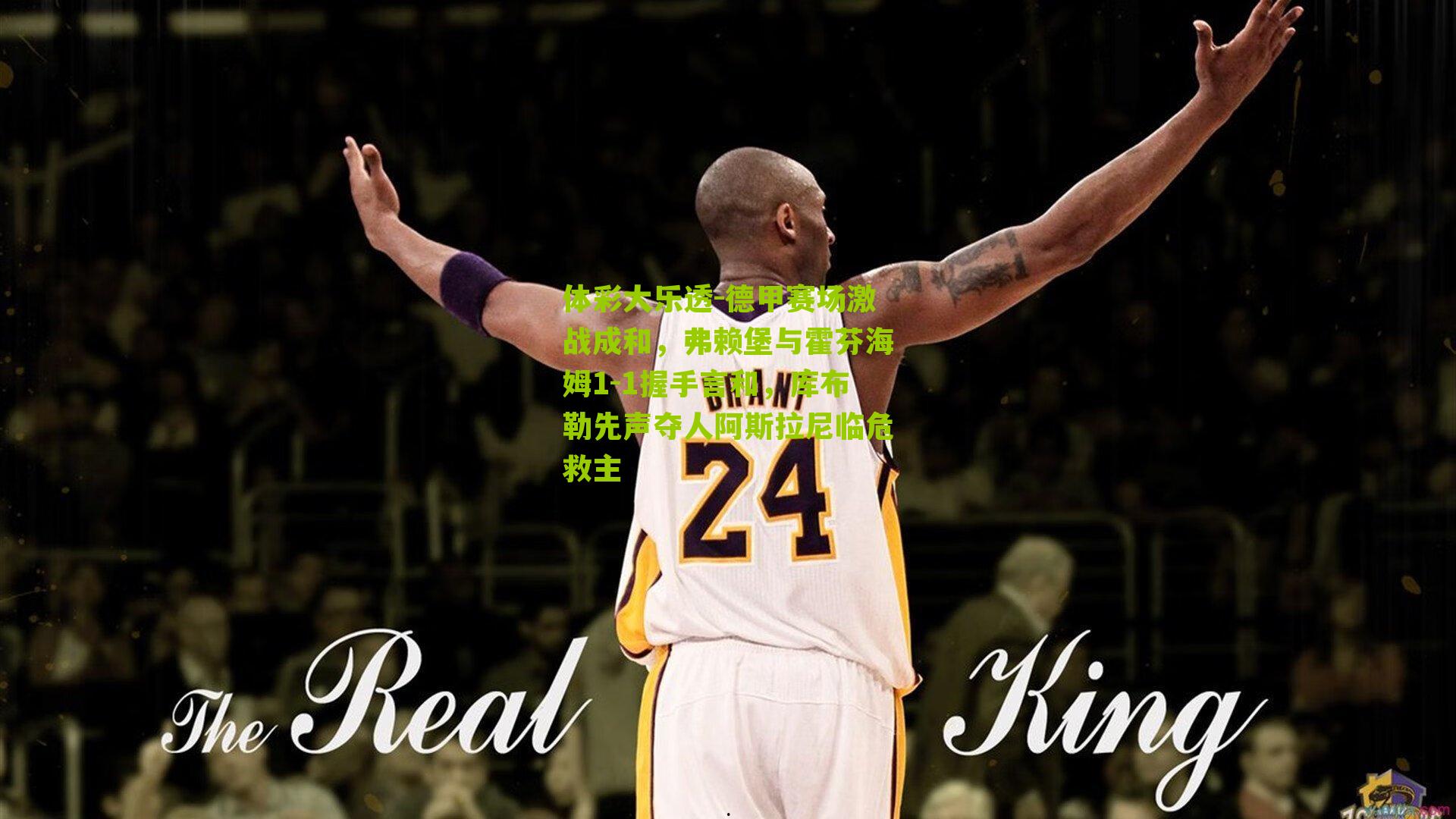 德甲赛场激战成和,弗赖堡与霍芬海姆1-1握手言和,库布勒先声夺人阿斯拉尼临危救主